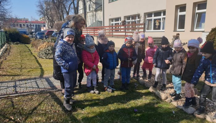 Zanim nadeszła kalendarzowa wiosna ,Motylki’' szukały jej w swoim otoczeniu